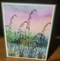 Greeting Card 111